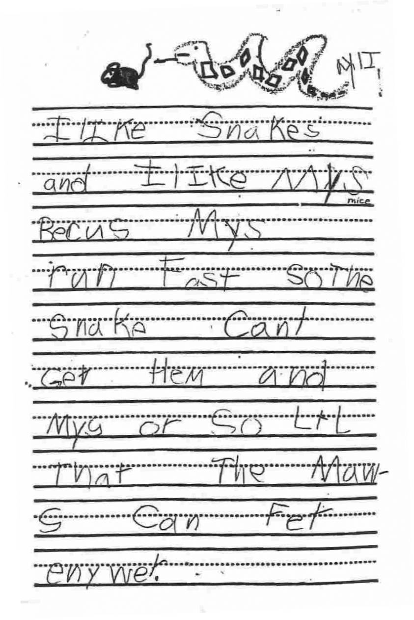 Anchor Paper: Kindergarten Student Sample - "I Like Snakes"